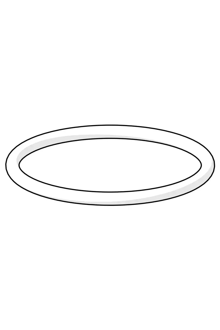 O-ring, 23.52x1.78, DN20